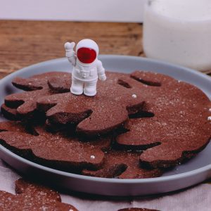 https://cosmiccookieslisboa.com/wp-content/uploads/2022/10/chocolate-sugar-bird-cookies-lisbon-shop-cosmiccookies-300x300.jpg