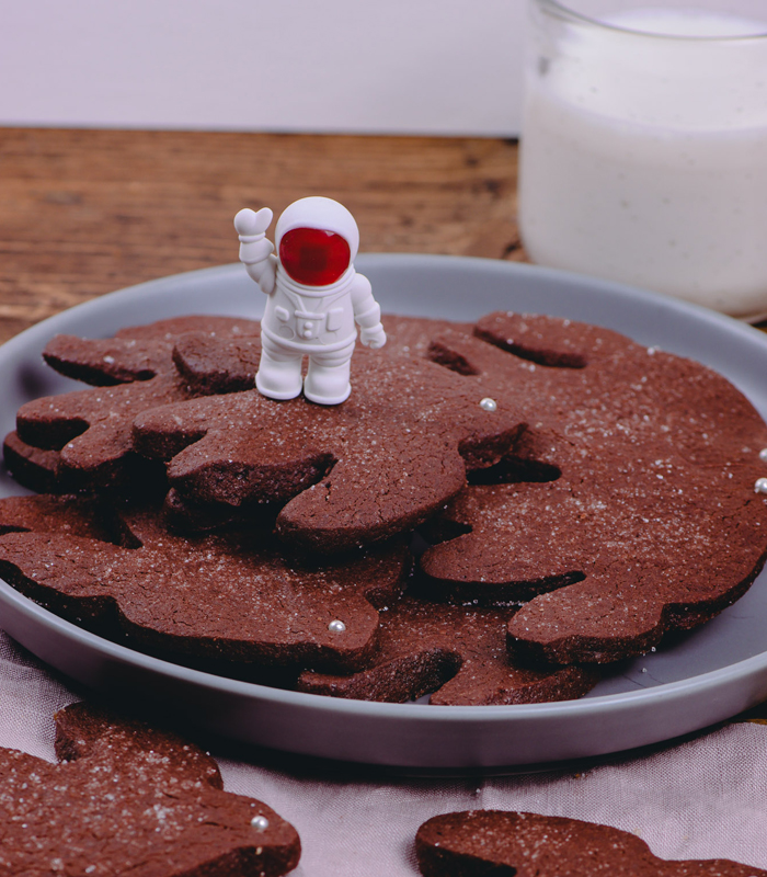 https://cosmiccookieslisboa.com/wp-content/uploads/2022/10/chocolate-sugar-bird-cookies-lisbon-shop-cosmiccookies.jpg